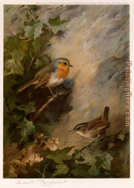 Robin and Wren painting - Archibald Thorburn Robin and Wren art painting